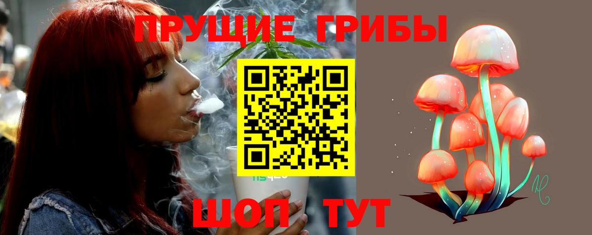 Псилоцибиновые грибы ЛСД  Вход с VPN  продажа наркотиков  Черкесск  Псилоцибиновые грибы Cubensis 