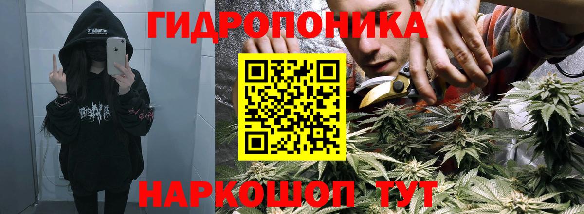 Черкесск  Канабис конопля  Каннабис семена  Вход с VPN 