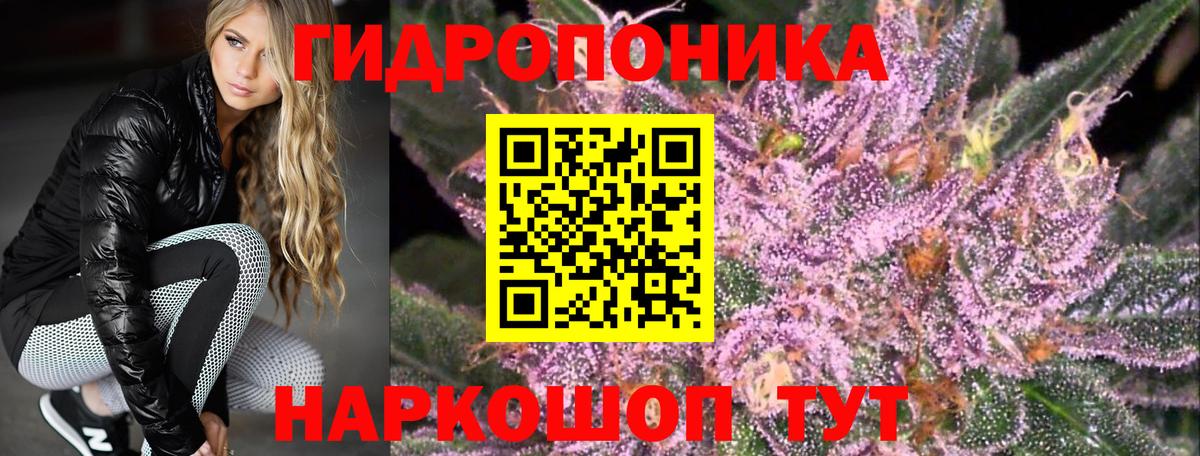 Бошки Шишки Ganja Черкесск